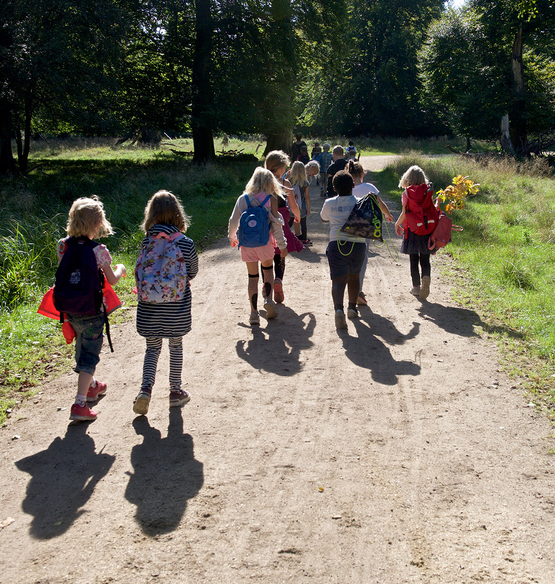 Hvornår er det flåtsæson og hvor lever flåter?