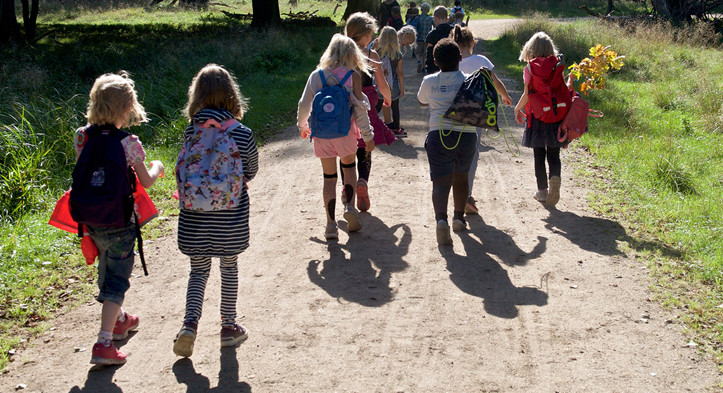 Hvornår er det flåtsæson og hvor lever flåter?