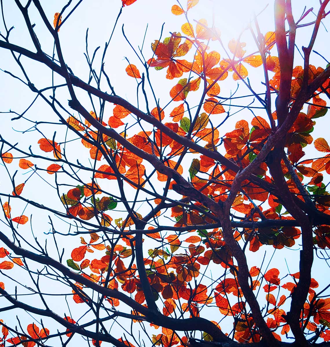 Hvornår skal man bruge solcreme?